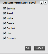 Custom Permission Level dialog box